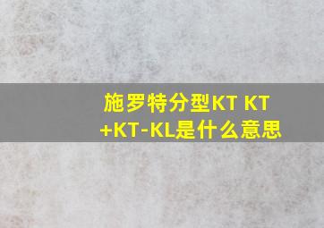 施罗特分型KT KT+KT-KL是什么意思